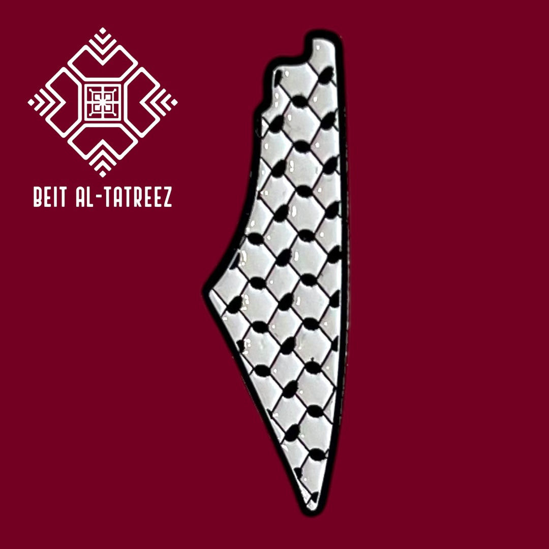 NEW ARRIVAL Palestine Map Shirt Pins